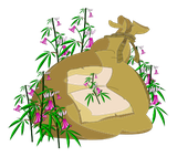 sac de chanvre