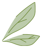Ailes de Scarafeuille vert