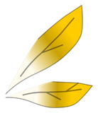 Ailes du Scarabosse Doré 