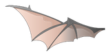 Aile de Dragoeuf Volant