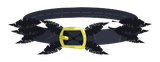 Ceinture Corbaquiale