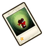 “Koalak Farouche” - No.343