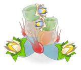 Bloptes Multicolores Royales
