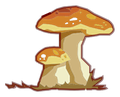 Champignon