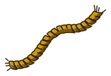Indispensable Corde
