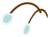 Antenne du Scarafeuille bleu