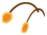 Antenne du Scarafeuille rouge