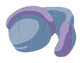 Chaussette du Kimbo