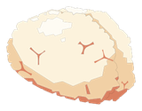 Cervelle de Bouftou