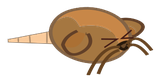 Kolérat Mort