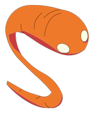 Ver de Feu