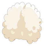 Coton Ancestral
