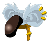 Coiffe du Koalak