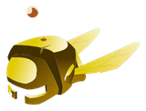 Scaracoiffe Dorée