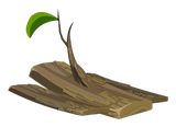 Abracaska Ancestral