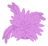 Pompocoiffe