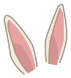 Oreilles de Lapineupe