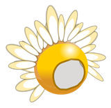 Végacoiffe