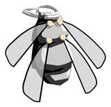 Scaracape Noire