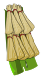 Cape Terrdala