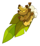 Banana Cape