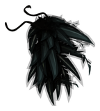 Cape du Corbeau Noir