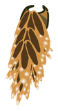 Abracapa