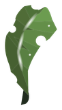 Vegacape
