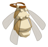 Scaracape Blanche