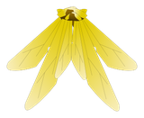 Scaracape Dorée