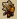 Dragonnet doré 