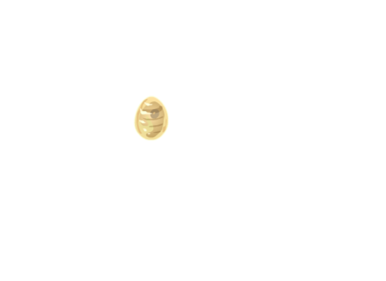 Dofus de l'Éternité 