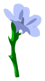 Fleur de Dzibi