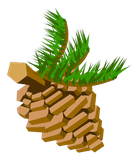 Pomme de pik