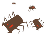 Armée de Tiques de sanglier des plaines