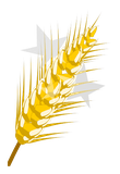 Blé d'Or