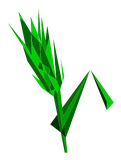 Orge