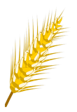 Blé 