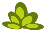 Feuille de Fourbasse