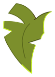 Feuille de Kokoko