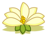 Fleur de Lotus