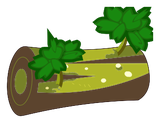 Bois d'Orme