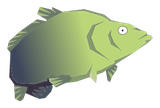 Bar Rikain