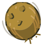 Noix de Kokoko