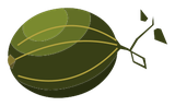 Pastèque