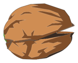 Coque de Noix