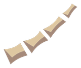 Colonne Vertebrale