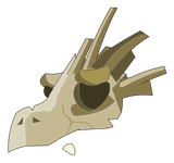 Crâne de Chef Crocodaille