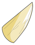 Corne de Dragoss Blanc