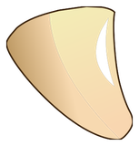Dent de Shin Larve